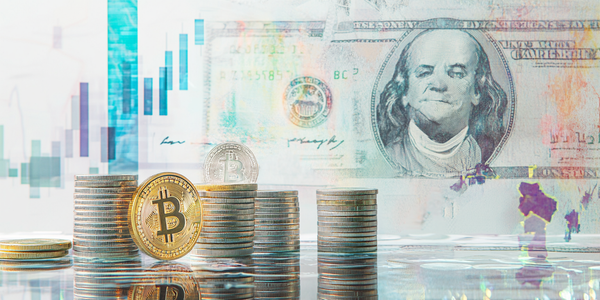 Unlock the Secrets of Profitium Vista: Is It Trustworthy?