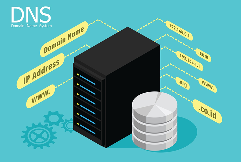 Отличие dns от ip